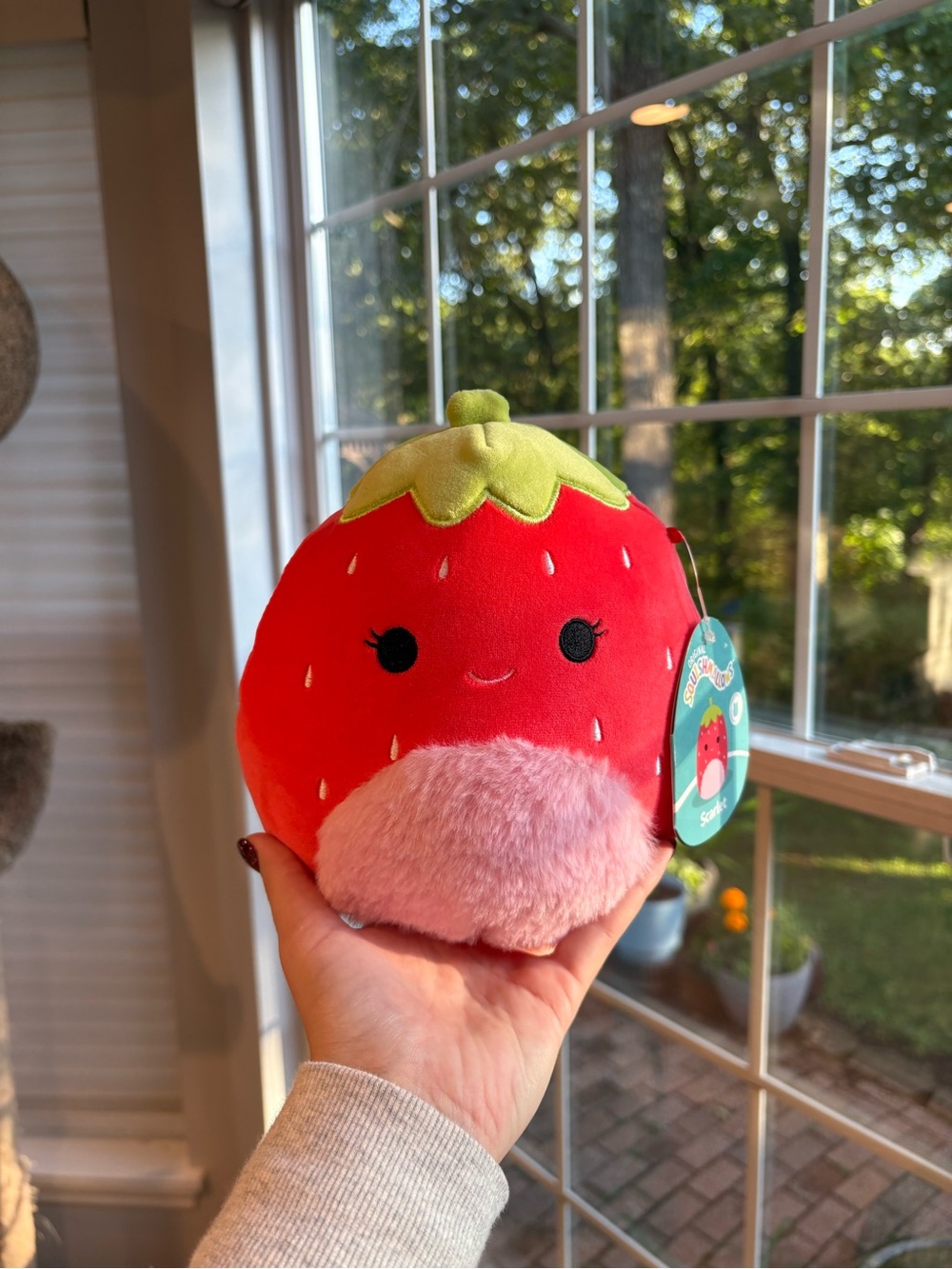 Scarlet the strawberry squishmallow FTM NWT 7in